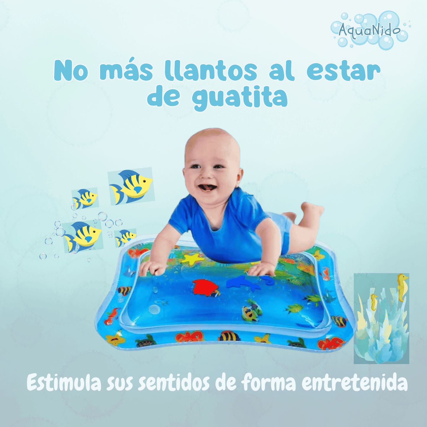 AquaNido - Desarrollo desde el día uno.