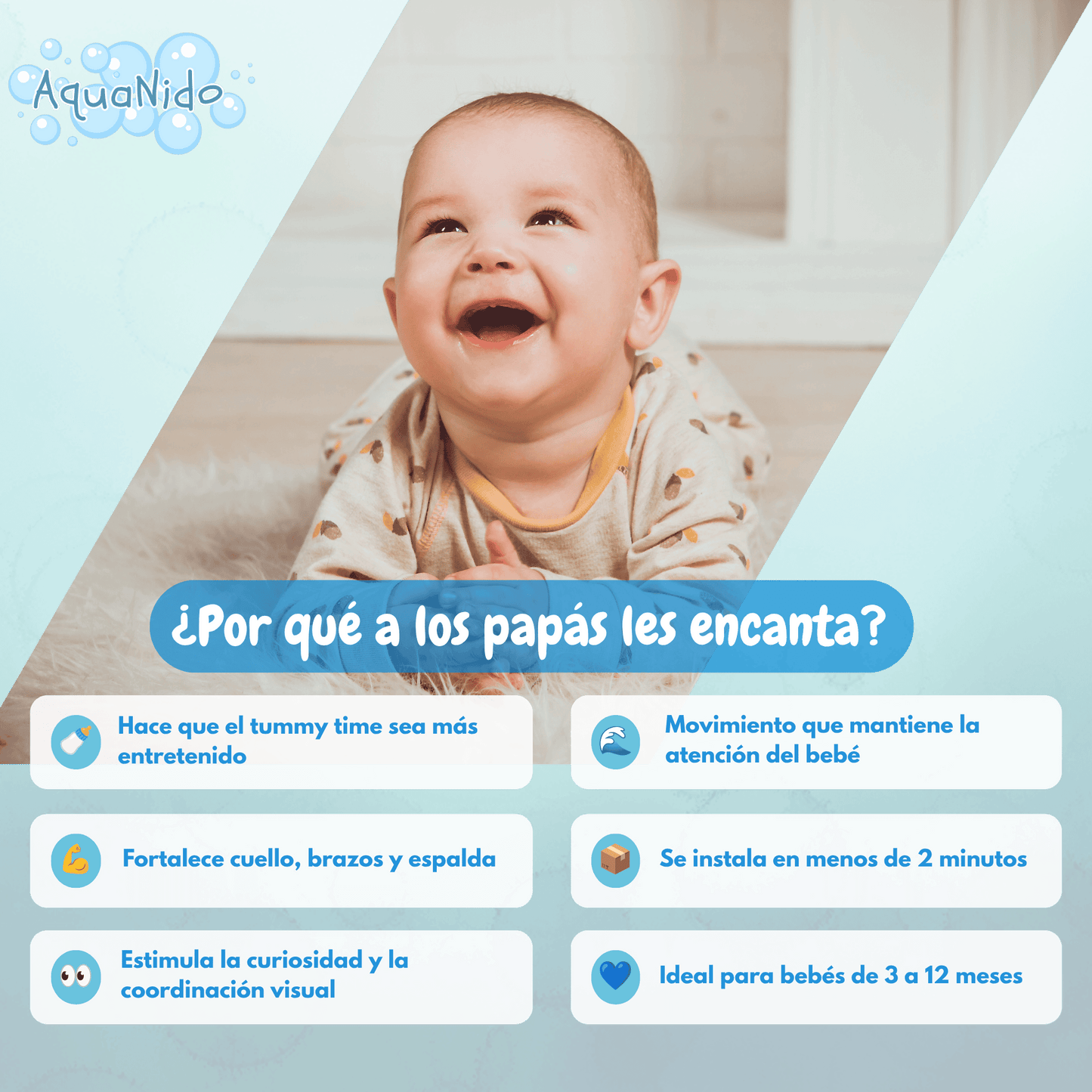 AquaNido - Desarrollo desde el día uno.