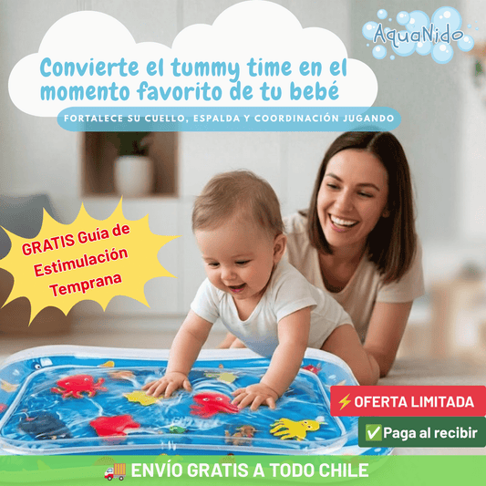 AquaNido - Desarrollo desde el día uno.